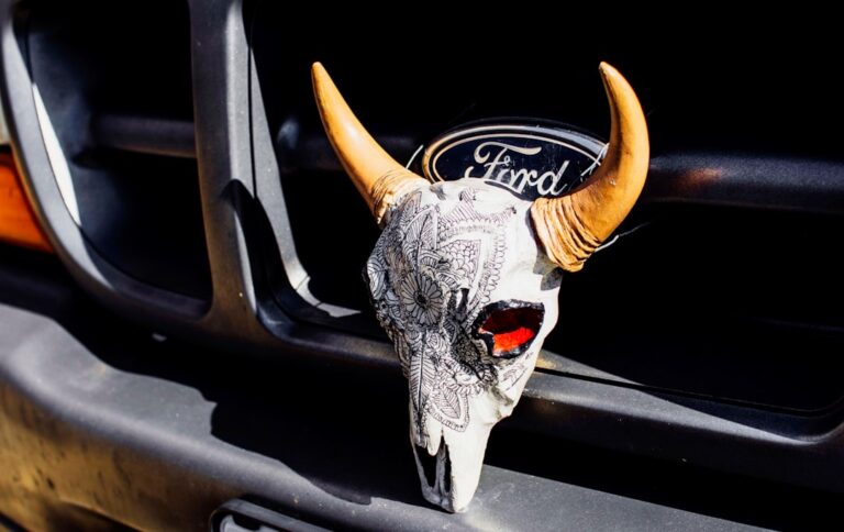Elevate Your Ride with Custom Accessories from Fashion Transition